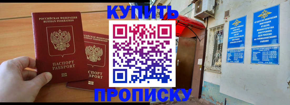 прописка штамп в Жукове